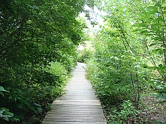 067 Longwood Gardens [2008 August 23]